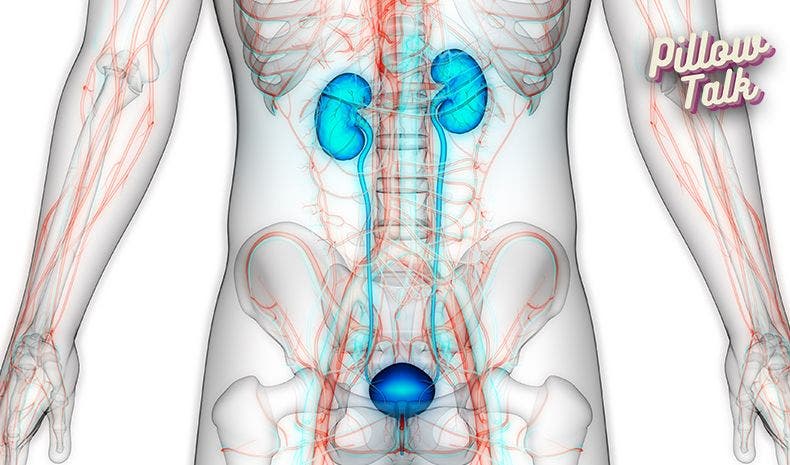 Understanding the Prostate: What it is and what is prostate cancer