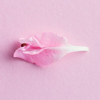 Flower Vulva Flower Vulva