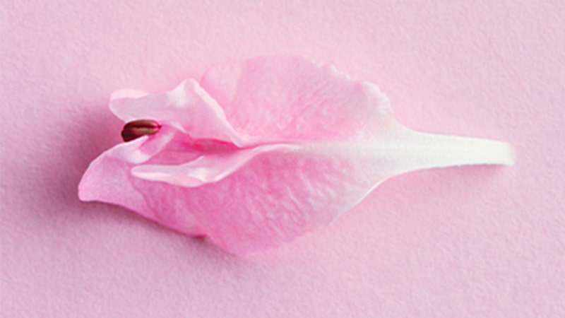 Flower Vulva Flower Vulva